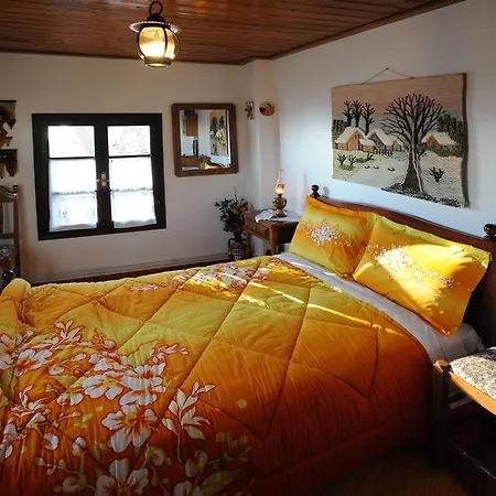 Guest house Katsianis's Traditional *